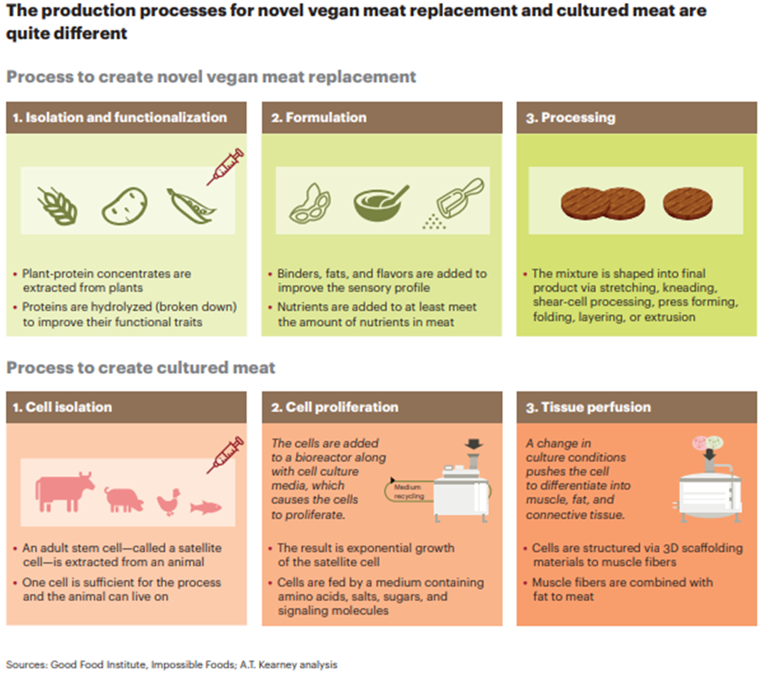 A növényi alapú húspótlók és a szövettenyésztett („in-vitro” vagy cultured) hús előállítása egészen eltérő
