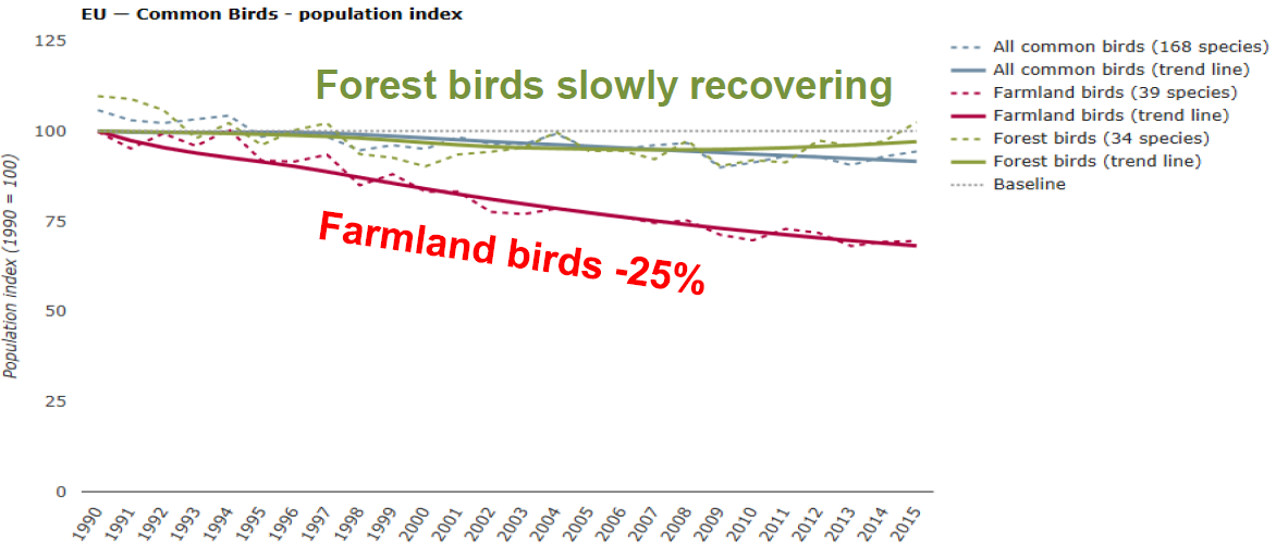 Bár az erdei madarak száma Európában növekedni látszik, a mezőgazdasági tevékenységgel együtt élő madarak („farmbirds”) száma 25%-kal fogyott