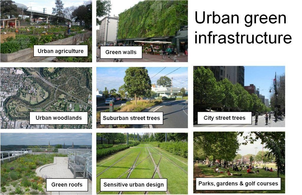 városi zöld infrastruktúra