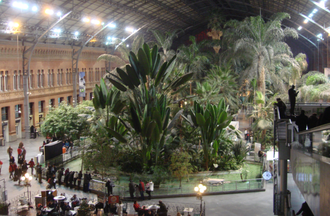 Közös üvegházban élünk - a madridi Atocha pályaudvar