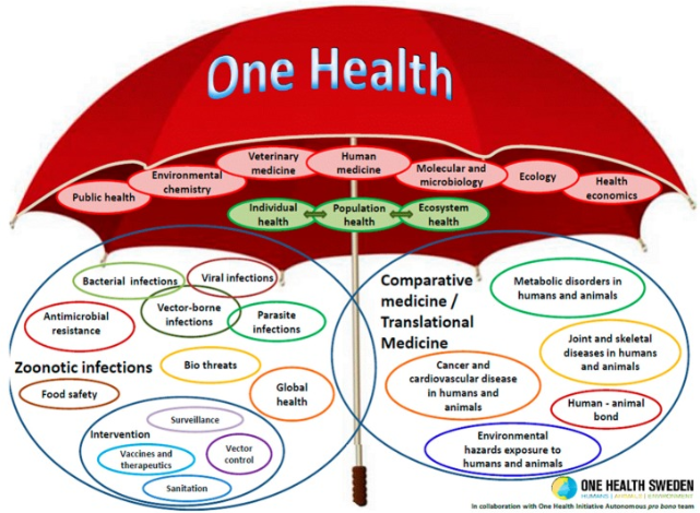 Az „Egy Eegészség esernyő” (One Health Sweeden & One Health Initiative Autonomous pro bono team)