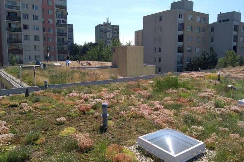 Zöldtető egy pozsonyi középületen. A kép forrása: https://spectator.sme.sk/c/22200452/bratislava-gets-overheated-green-roofs-may-help.html