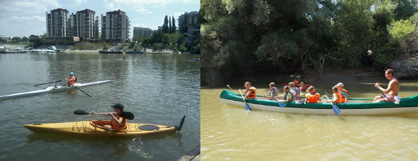 Rowing in the main and side arms of River Danube in Budapest