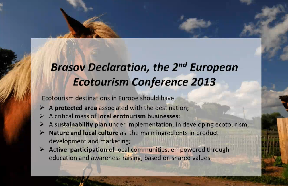 Brassói Nyilatkozat (Brasov Declaration, 2013)