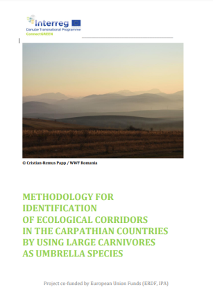 METHODOLOGY FOR IDENTIFICATION OF ECOLOGICAL CORRIDORS IN THE CARPATHIAN COUNTRIES BY USING LARGE CARNIVORES AS UMBRELLA SPECIES