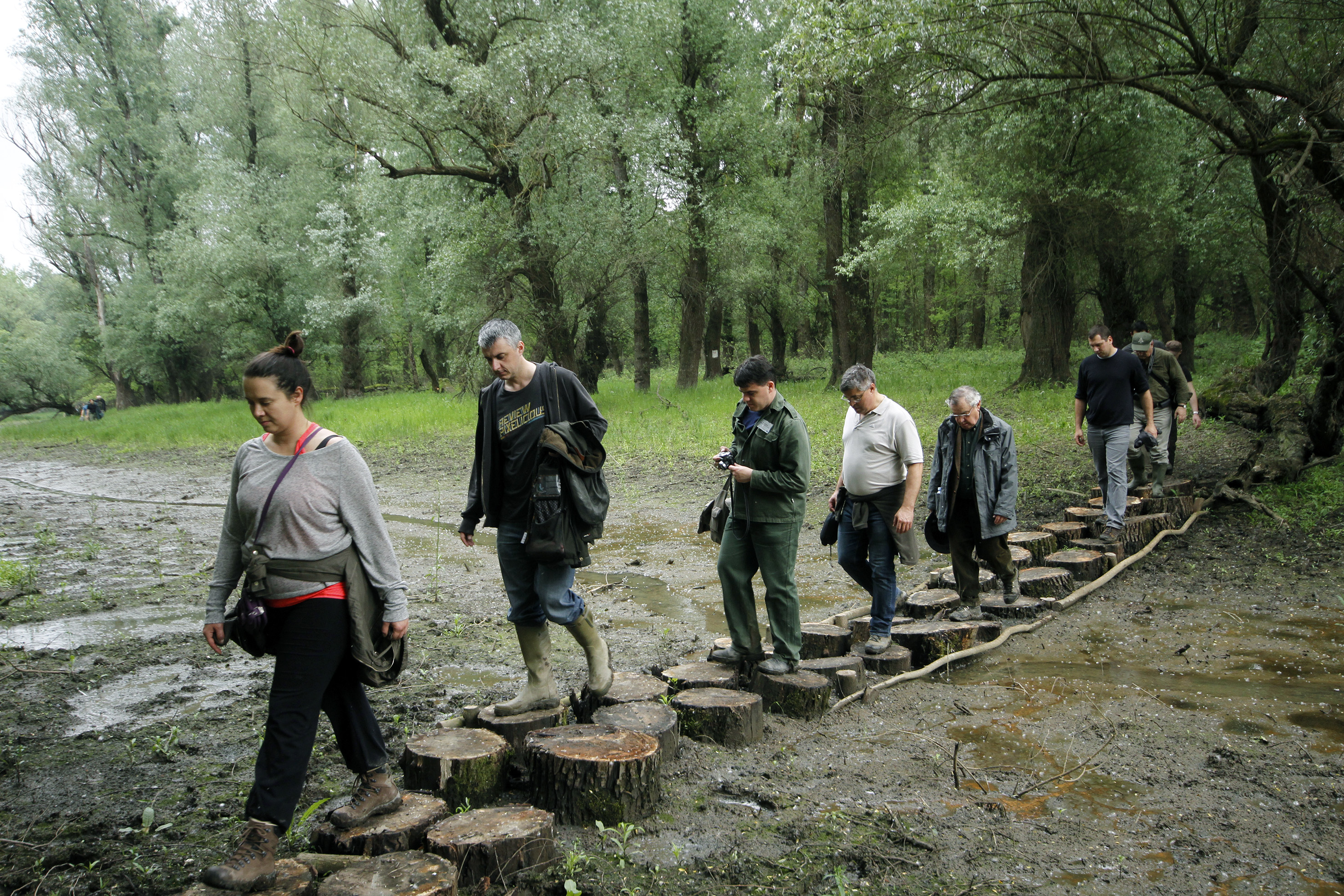 „like stepping stones: chain of protected areas along Danube ecologic corridor”
