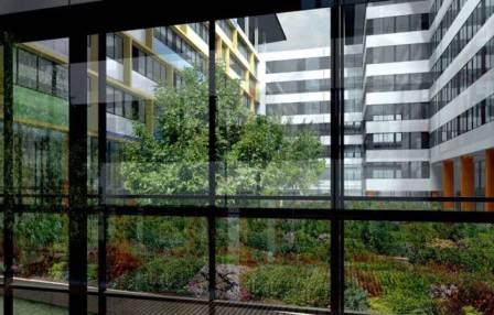 Váci út: Belső kert egy új irodaház udvarán