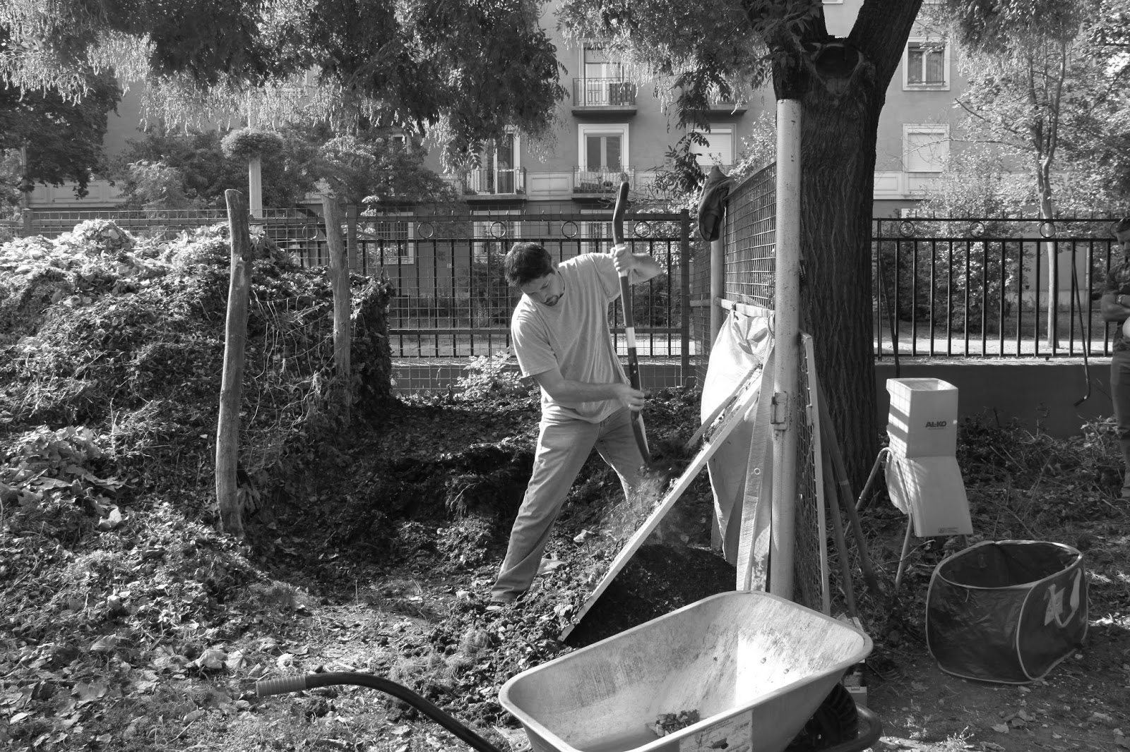 Komposztot szitáló apuka egy budapesti iskola udvarán