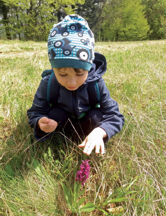 A természet felfedezése gyerekkel – a bodzaszagú ujjaskosbor (Dactylorhiza sambucina) Fotó: R. Považan