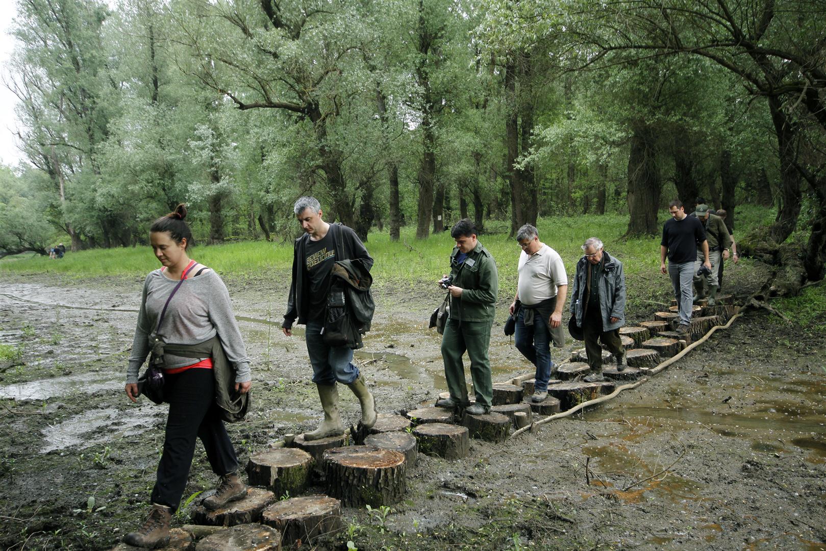 like stepping stones: chain of protected areas along Danube create ecologic corridor