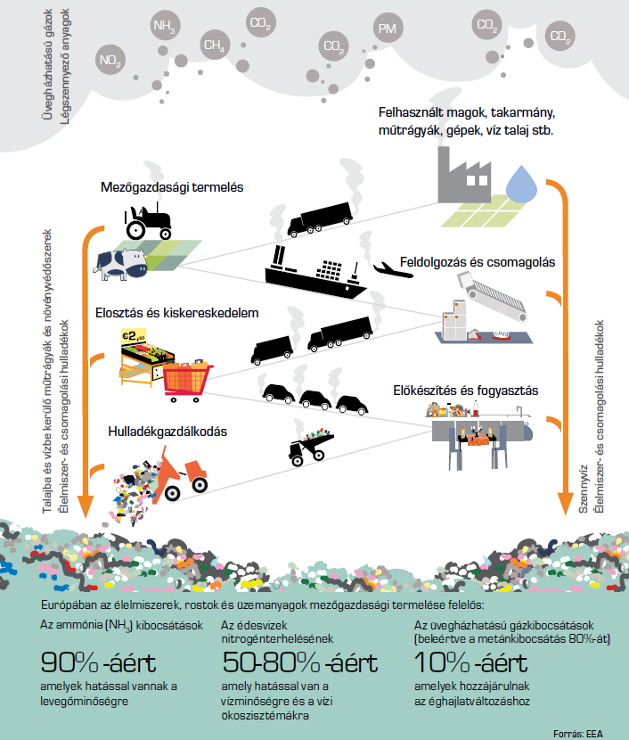Az Európai Környezetvédelmi Ügynökség (EEA) infografikája az élelmiszerláncról. Forrás: Jóllétünk és a környezet, 2014