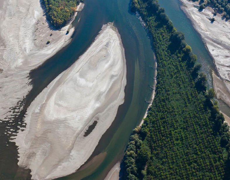 one of the 563 wild islands of Danube