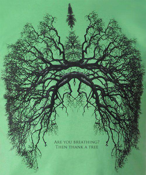 "Ha lélegzel, köszönd meg egy fának."